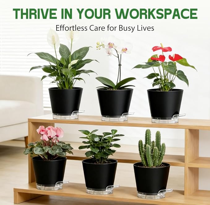 Self Watering Pots for Plants, 2026 New Flower Plant Pots with Drainage Holes, Wicking and Clear Reservoirs for Succulent, Aloe, Cacti and Others - 6 Pack (Black, 4")