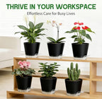 Self Watering Pots for Plants, 2026 New Flower Plant Pots with Drainage Holes, Wicking and Clear Reservoirs for Succulent, Aloe, Cacti and Others - 6 Pack (Black, 6")