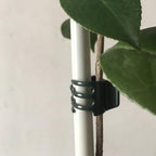50 PCS Large Size Orchid Clips and Garden Support Clips Green (Not with Flower and Plant Spike)