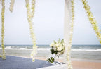 Miami Fresh Orchid Loose Bloom PERISHABLE flowers OrchidClub USA Sunne Tropical DIY lei, food & drink decoration (100 WHITE)