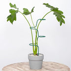 Set of 3 Sturdy Metal Plant Support Stakes for Indoor & Outdoor Use - Garden Trellis for Hydrangeas, Monstera, Flowers, Herbs, and Seedlings - Ideal for Small to Medium Plants