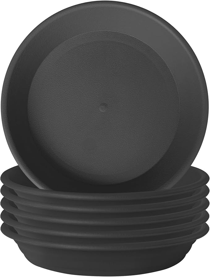 6 Pack 10.9 inch (9" at Base) Plastic Plant Saucer Trays, Planter Saucers Plant Trays for Indoors, Heavy Thick Durable Flower Pot Saucers for Plant Pot Saucer Outdoors