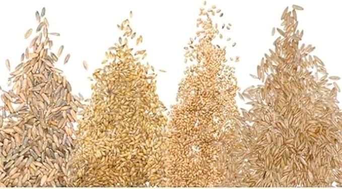 Cat Grass Seeds for Growing | 4 Way Blend, Rye, Wheat, Oats and Barley | Made in USA | Safe Non-GMO Pet Grass for Cats & Pets | Fast Sprouting (2 Pounds)
