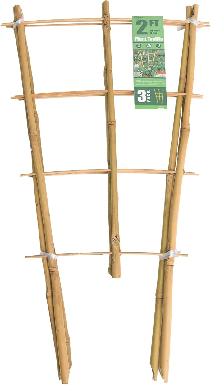 Bamboo Trellis 2FT 3 Pack, Plant Ladder Stakes 24 Inches, Natural Fan-Shaped Bamboo Trellis for Orchid Vines, Monarchs, Ivy and Other Plants Climbing, Help Plant Growth