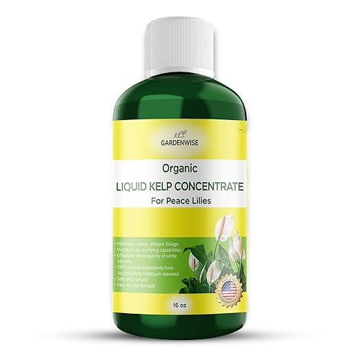 GARDENWISE Organic Premium Kelp Seaweed Fertilizer for Peace Llily - Liquid Plant Food - Nutrient-Rich Soil Enhancer - Natural Plant Food for Spathiphyllum (16 OZ)