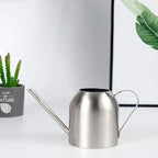 Fasmov Stainless Steel Watering Can, Small Modern Style Watering Pot, 15oz/450ml Watering Can with Long Spout to Prevent Spillage, Perfect Plant Watering Can for Outdoor and Indoor Plants (Silver)
