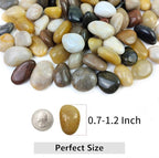 YISZM Pebbles for Indoor Plants, Natural Polished River Rocks, Small Decorative Mixed Color Stones for Planters Vase Fish Tank Aquariums Landscaping Garden, 2lbs