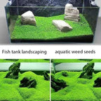 5 Aquarium Plants S.e.e.d Set, not Artifical, Fish Tank Decor Replacement for Resin or Plastic Grass