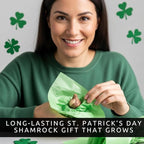 Iron Cross Shamrock Bulbs - 10 Bulbs to Plant - St. Patrick's Gift - Iron Cross Shamrocks - Fast Growing Year Round Color Indoors or Outdoors - Oxalis Shamrock Bulbs - Unique Four-Leaf Foliage