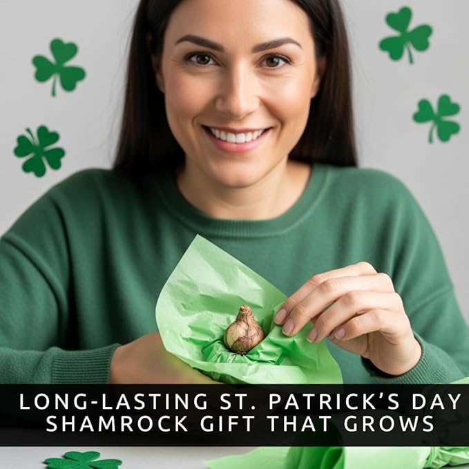 Iron Cross Shamrock Bulbs - 10 Bulbs to Plant - St. Patrick's Gift - Iron Cross Shamrocks - Fast Growing Year Round Color Indoors or Outdoors - Oxalis Shamrock Bulbs - Unique Four-Leaf Foliage