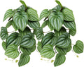 2Pack Reptile Fake Plants for Terrarium, Snake Tank Accessories, Habitat Decor Artificial Hanging Plants with Suction Cup - Fake Calathea Orbifolia