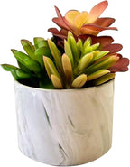 Artificial Plants Cute Colourful Succulents in Ceramic Planter Fake Plant Flowers Potted for Home Living Room Office Desk Decor Bathroom Bedroom Indoor Decoration