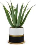 Briful Succulents Artificial Plants Fake Aloe Vera Plants in Gold and Black Pot Farmhouse Faux Agave Plant for Home Office Desk Bathroom Shelf Decorations