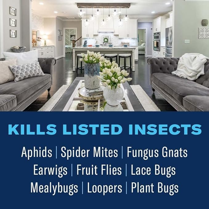 BioAdvanced Houseplant Insect & Mite Control, Ready-to-Use Fungal Disease & Fungus Gnats Killer, 24 oz, Plant Spray for Fungus Gnats