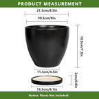 8 Inch Plant Pot - Ceraimc Planter for Indoor Outdoor Plants, Round Flower Pots with Drainage and Tray, House Decor, Black