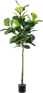 Artificial Fiddle Leaf Fig Tree, 6FT Faux Ficus Lyrata Plant Tall Fake Tree for Home Decor Artificial Tree for Indoor Office Living Room (Fiddle Leaf Fig Tree, 6 FT)