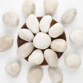 Natural Polished White River Rocks, 2-3 inches, 40 lbs - Perfect for River Rocks in Landscaping, Natural White Decorative Stones, Potted Plant Decorations, and Garden Design (White, Weight: 40 LB)
