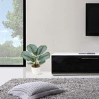 Briful 18'' Tall Fake Plant Realistic Faux Calathea Plant Artificial Plant for Home Decor Indoor Fake House Plant in White Pot for Living Room Bathroom Kitchen