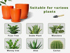 8 Inch Plant Pot, Ceramic Planters for Plants with Drainage and Saucer, Orange