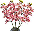 4pcs Artificial Cymbidium Orchid Flower Plant 3D Print Vanda 10 Heads Latex Phalaenopsis Flower (Medium Pink)