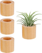 Bigmeta 3 Pcs Wood Air Plant Holder, 1.4" Rustic Style Airplant Display Stands for Women Gifts