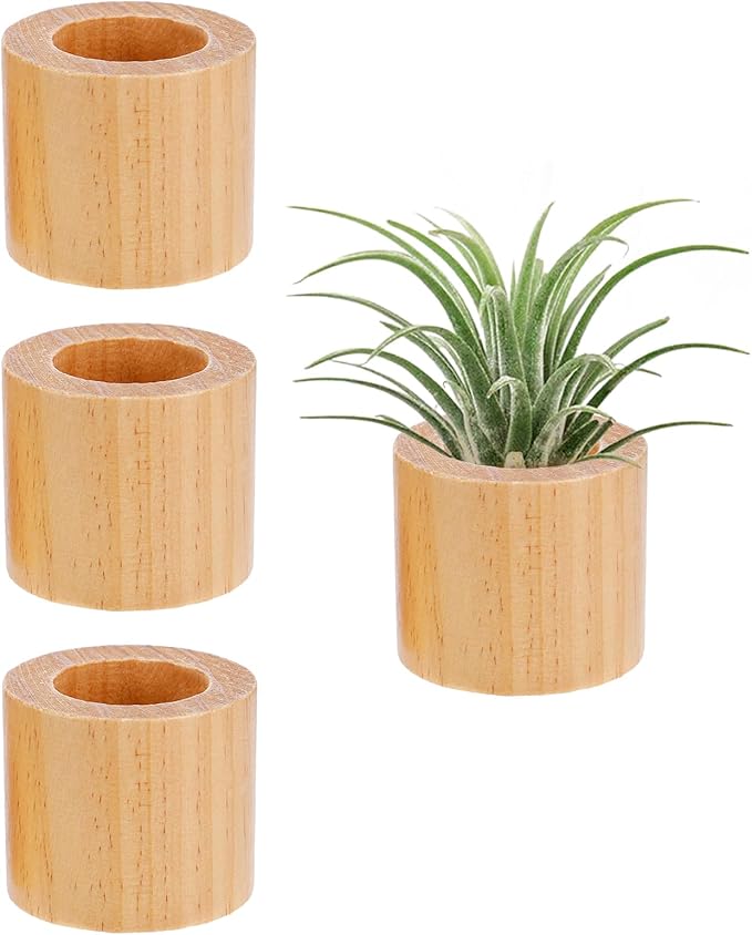 Bigmeta 3 Pcs Wood Air Plant Holder, 1.4" Rustic Style Airplant Display Stands for Women Gifts