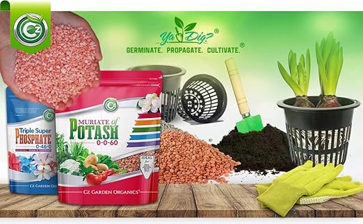 Muriate of Potash 0-0-60 Fertilizer Made in USA - MOP Potassium Plant Food for Indoor/Outdoor Plants, Flower Gardens, Fruit and Vegetable Gardens, Holistic Herbs, Trees and Green Lawns!