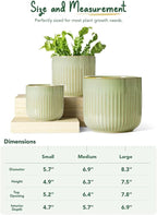 LE TAUCI Ceramic Pots for Plants, 8.3/7/6 Inch Indoor Planters with Drainage Holes & Mesh, Modern Glossy Glaze Cylinder Fluted Plant Pot for Snake Plant, Set of 3, Sage Green