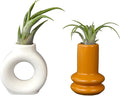 Live Air Plants with Decorative White & Orange Air Plant Holder Duo (2-Pack), Easy Plant Gift, Non-Toxic Pet Friendly Plants, Air Plants Live Plants in Small Plant Pots, Home Decor by Plants for Pets