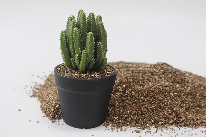 2QT Organic Vermiculite, Horticultural Vermiculite for Plants, Soil Additive for Potted Plants, Vermiculite Coarse Hydroponic for Succulent Orchid Gardening Reptiles