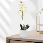 NUOBESTY Artificial Phalaenopsis Orchid Plant Fake Potted Flowers Home Decor White Small Indoor Faux Orchid Bonsai for Living Room Table Decoration