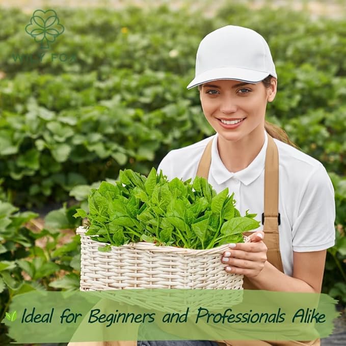 Premium Malabar Spinach Seeds - 100 Heirloom, Non-GMO Seeds for Planting – Easy-to-Grow Climbing Vegetable, Fast Growing Summer Green for Garden or Patio