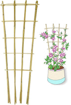 Natural Bamboo Trellis, 3Feet,3Pack,Fan-Shaped Plant Support Trellis for Outdoor and Indoor Potted Climbing Plants,Vegetables, Cucumber, Tomato, Hoya,