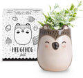Porcupine Animal Ceramic Planter for Indoor and Outdoors, 3 x 3 x 4 in., Cute Hand Painted Designed in Argentina, Convenient Drain Hole