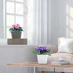 Self Watering Planters for Indoor Plants : 5 inch 6 Pack Grey Planter with Water Level Indicator African Violet Self Watering Flower Pot for Herb Pot House Plant Planting