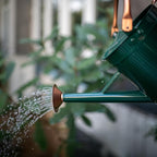 1 Gallon Watering Can, Plant Wate Can, Metal Watering Can with Removable Spout, Galvanized Watering jug, Nice Green Water Can for Indoor and Outdoor use