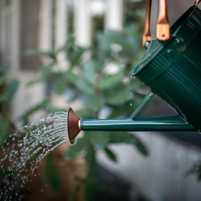 1 Gallon Watering Can, Plant Wate Can, Metal Watering Can with Removable Spout, Galvanized Watering jug, Nice Green Water Can for Indoor and Outdoor use