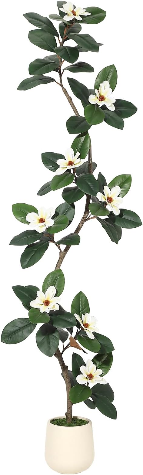 7ft Artificial Rubber Tree with 8 Pcs Magnolia Flowers,Tall Fake Tree with White Planter and Moss Decor,Faux Plants Indoor for Home Living Room Porch Decor