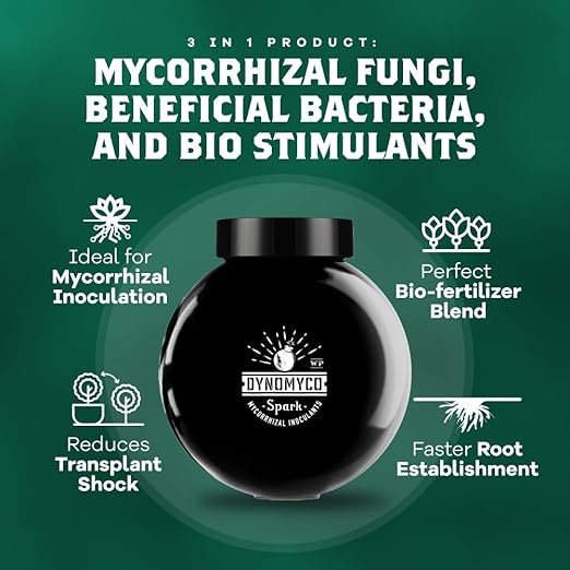 DYNOMYCO Spark Mycorrhizal Fungi, 6oz Wettable Powder – 3-In-1 Root Enhancer Turbocharges Nutrient Uptake & Yield – Treats 25 Plants, Indoor/Outdoor Bio-Stimulant – Dissolves Fast in Seed Starter Soil