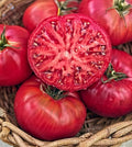 Pink Ponderosa Heirloom Tomato Seeds - Large Tomato - One of the Most Delicious Tomatoes for Home Growing, Non GMO - Neonicotinoid-Free.