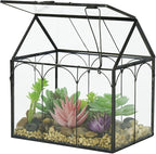 Ferrisland Glass Plant Terrarium Container Wardian Case Indoor Small Succulent Terrarium Planter W/Door for Tabletop Decor DIY (6" L x 4.3" W x 6.3" H)