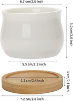 ZOUTOG 12 Pack Succulent Pots, 2.6 Inch Mini Ceramic Pots for Flower or Cactus Plants with Drainage Hole,Plants Not Included
