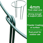 HiGift 8 Pack Plant Support Stakes, Half Round Metal Garden Plant Stake Indoor Peony Cages and Supports, Green Plant Support Ring Border for Tomato,Hydrangea,Flower Outdoor (10" Wide x 15.8" High)