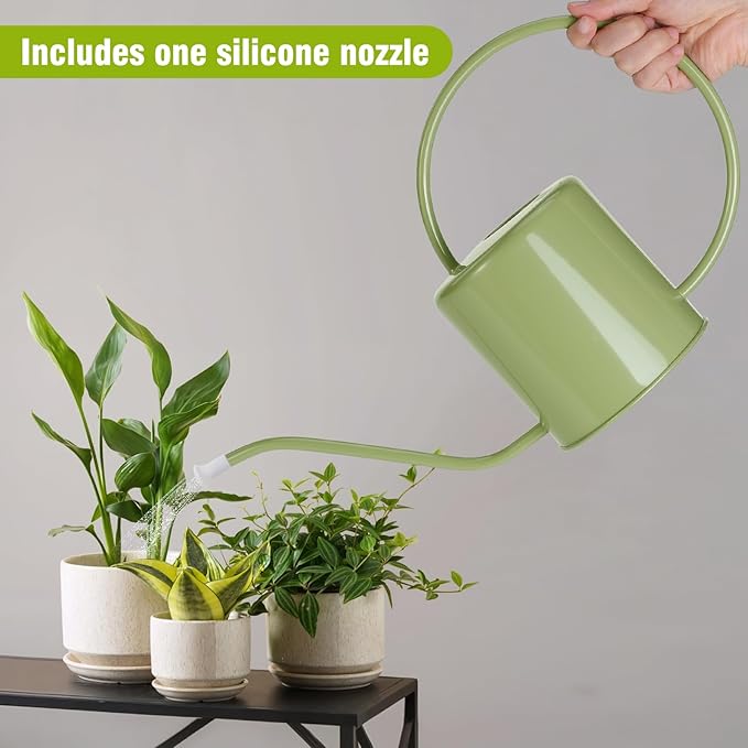 Plant Watering Can, 50 oz / 1500 ml Stainless Steel Metal - Modern Decorative with Long Spout for Indoor Potted Plants, Bonsai, Garden Flowers, Saga Green