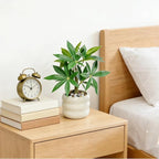 Artificial Money Tree Plant, Small Fake Potted Plants in Ceramic Pot, INS Tabletop Decor Accessories for Office, Side Table,Nightstand, Entryway,Bathroom, Living Room, Coffee Bar