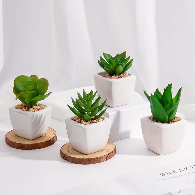 Briful Mini Fake Plants 4 Packs Assorted Artificial Succulents Plants Potted Faux Succulents Plants in Ceramic Planter Pot for Home Decor Indoor Bathroom Shelf Tabletop