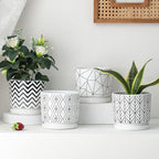 Ton Sin Plant Pots,5.5 Inch White Pots for Indoor Plants with Drainage Holes,Cylinder Flower Pot Ceramic Planters with Saucer,Cactus Succulent Outdoor Garden Pots Set of 4