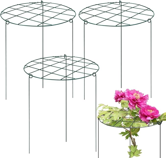 Sekcen 12 Pack 16 x 24 Inch Peony Support Cage Grow Through Plant Supports for Outdoor Plants Peony Ring Hoop Grow Through Grid Stakes
