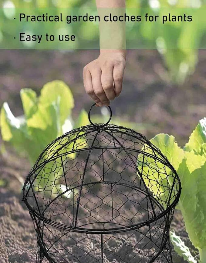 Garden Cloches for Plants 2 Pack Metal Plant Protectors from Animals Chicken Wire Cloche Updated Plant Cages for Outdoor Plants Vegetables Seedlings 13" D x 14" H