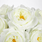 Hollyone White Roses Peonies Artificial Flowers with Glass Vase Silk David Austin Roses Faux Flowers Arrangements with Clear Faux Water in Vase Fake Peonies Rose Peony Floral Bulk Bouquet Home Decor